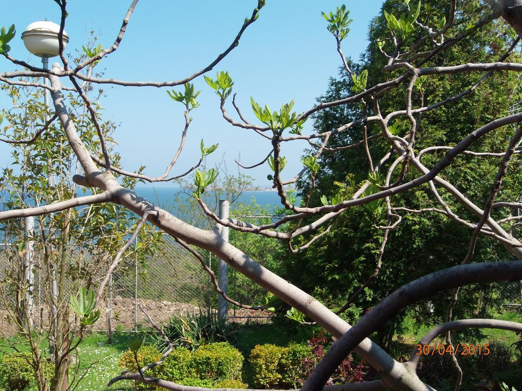 Villas And Bungalows Panorama Chernomorets Exterior foto