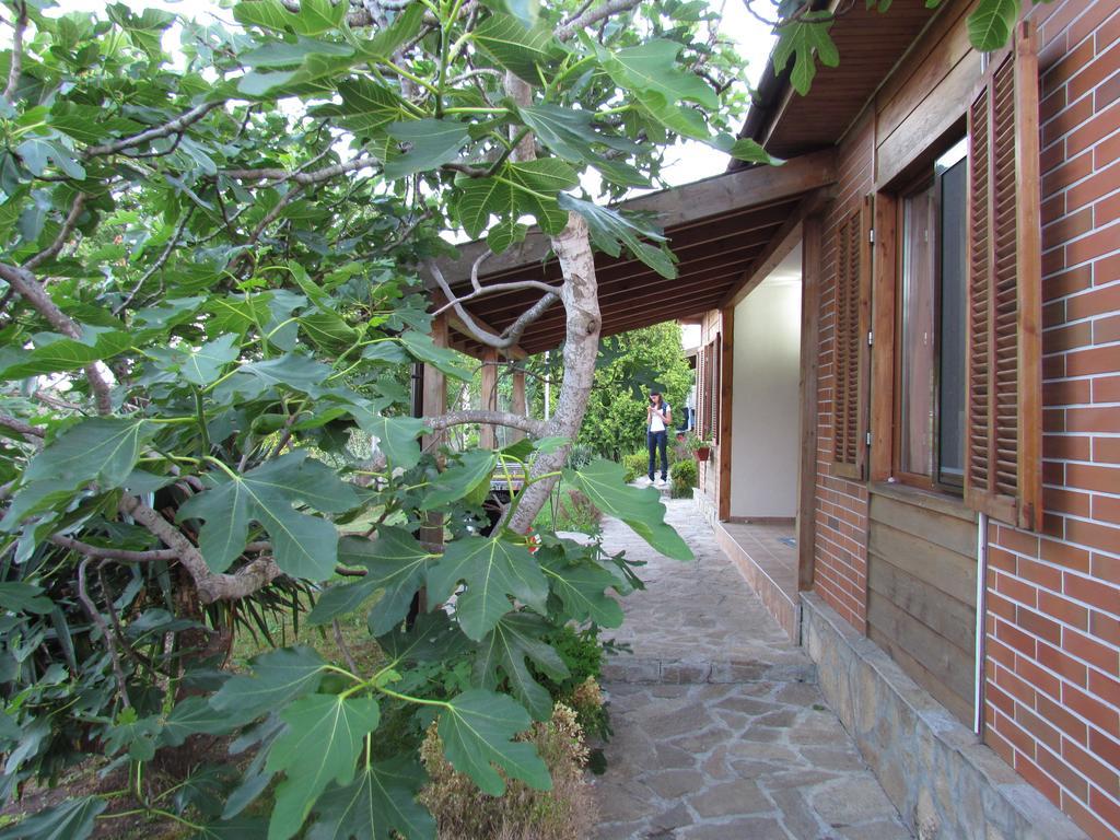 Villas And Bungalows Panorama Chernomorets Exterior foto